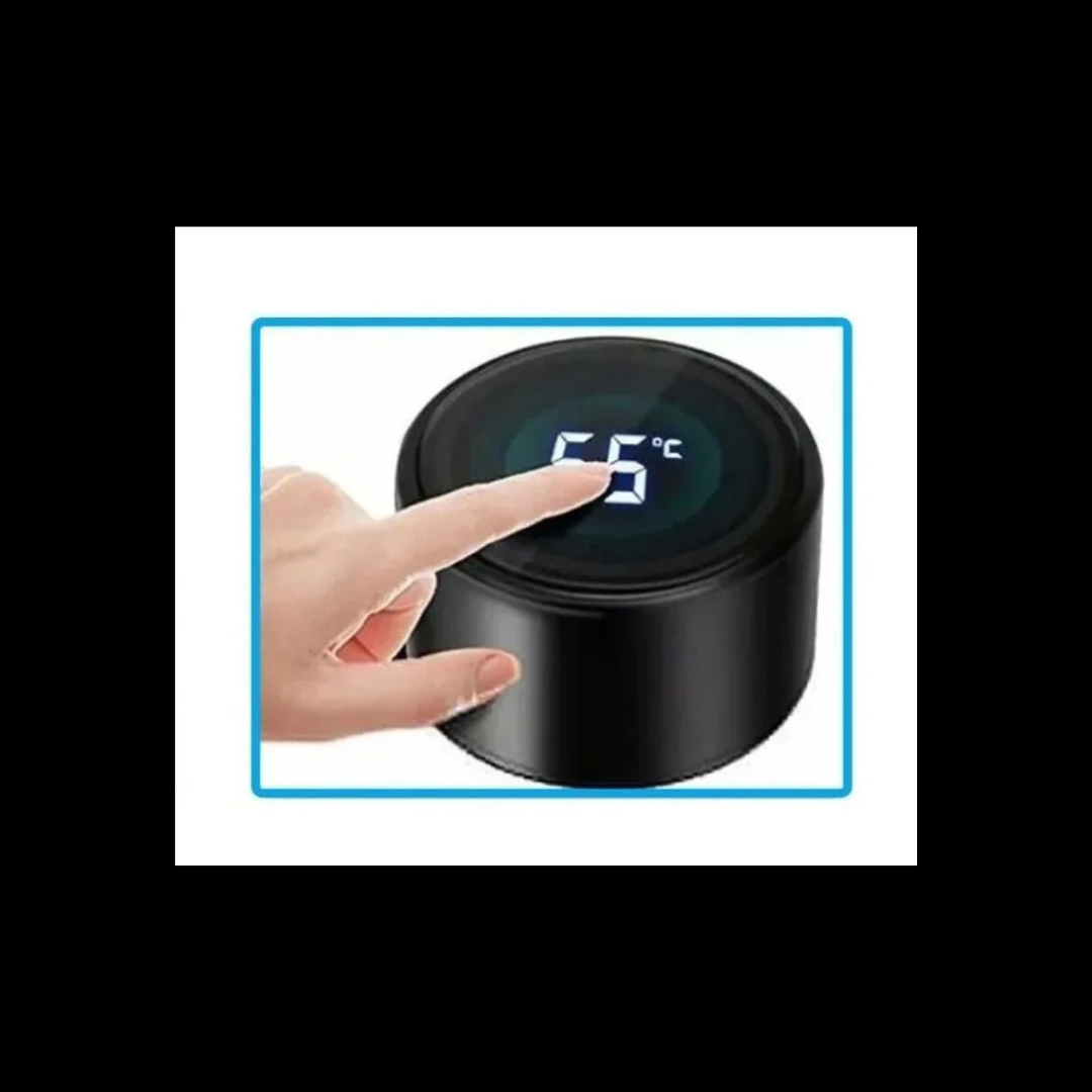 Termo Digital TT 500