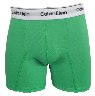 Pack x10 Boxer Calvin Klein Hombre – Estilo y confort